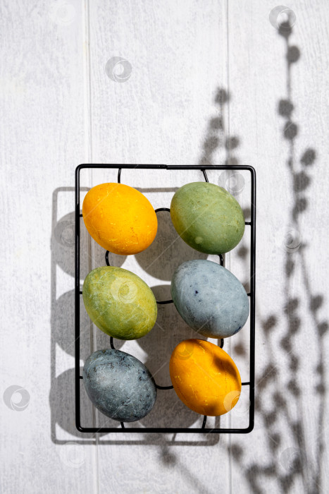 Скачать Пасхальные яйца, окрашенные естественным образом гибискусом и куркумой, сушатся на охлаждающей решетке, создавая красивую палитру желтых и зеленых оттенков, готовые к празднованию Пасхи с помощью copy space. фотосток Ozero