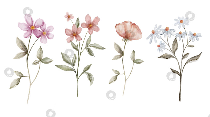 Скачать Акварельный набор нежных полевых цветов с тонкими стеблями и нежными пастельными лепестками в розовых, персиковых и голубых тонах. Иллюстрация для приглашений, открыток, упаковки, канцелярских принадлежностей или нежных цветочных рисунков. фотосток Ozero