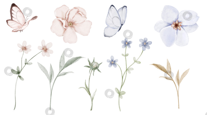 Скачать Акварельный цветочный набор с нежными пастельными цветами, бабочками и тонкими стеблями в розовых, бежевых и голубых тонах. Иллюстрация для приглашений, открыток, упаковочных этикеток, канцелярских принадлежностей или нежных весенних дизайнов. фотосток Ozero