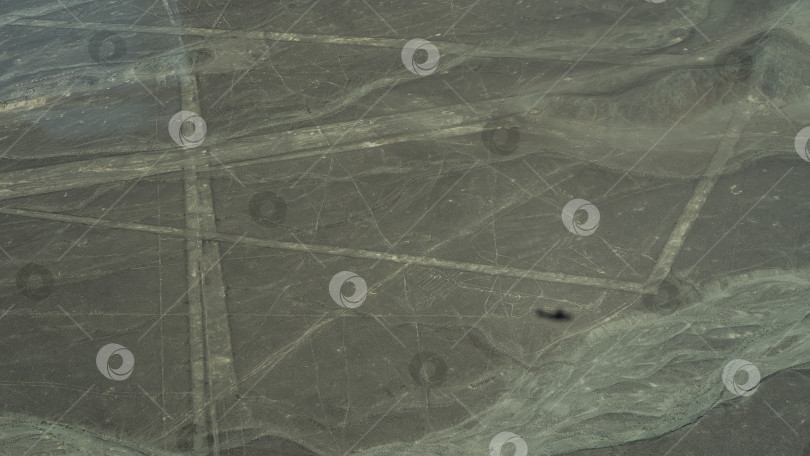 Скачать Знаменитые геоглифы плато Наска. фотосток Ozero