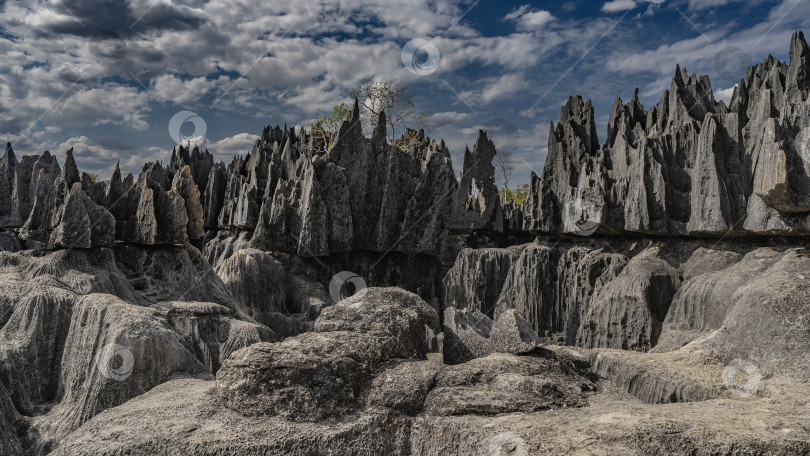 Скачать Уникальные карстовые скалы. Крутые скалистые склоны, острые пики. фотосток Ozero
