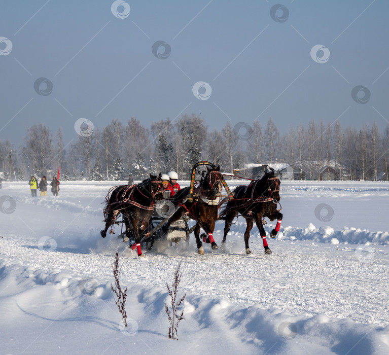 Скачать Гонки на лошадях. фотосток Ozero