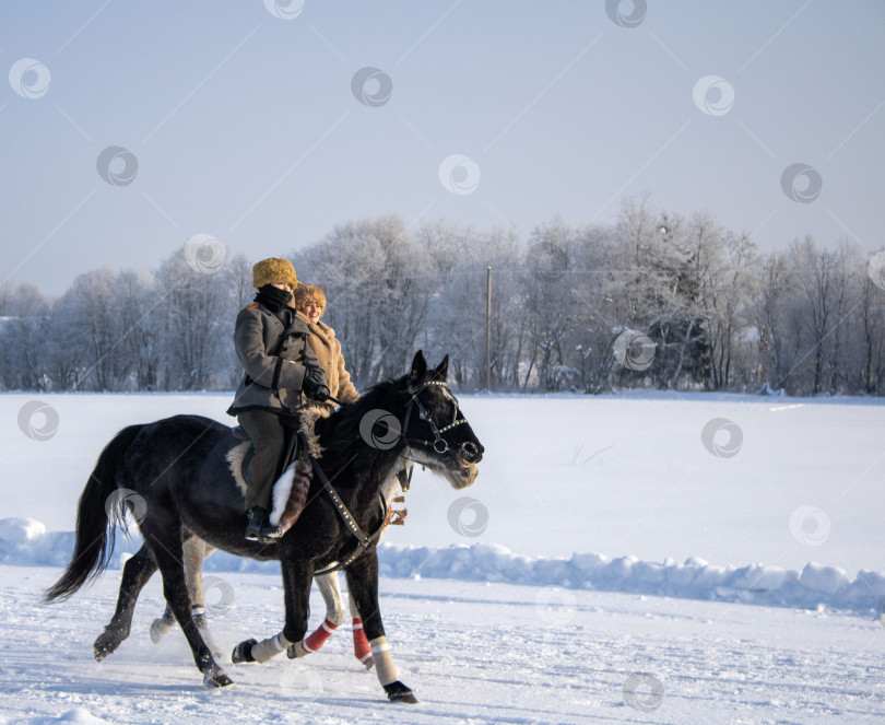Скачать Всадники на лошадях фотосток Ozero