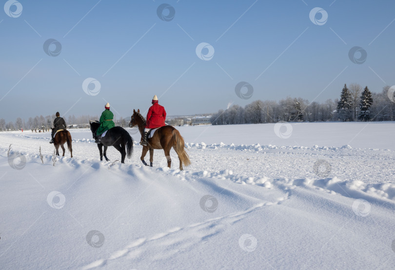 Скачать Три всадника на лошадях на снежном поле. фотосток Ozero