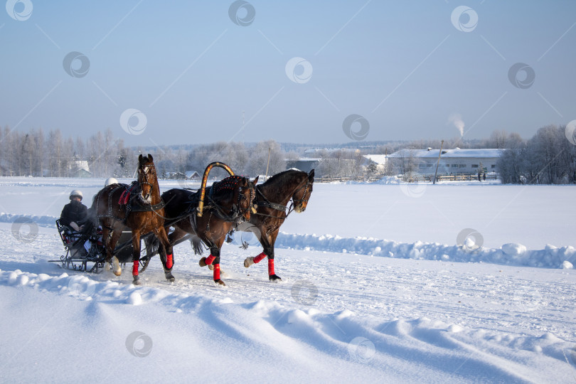 Скачать Фестиваль "Русская тройка". фотосток Ozero