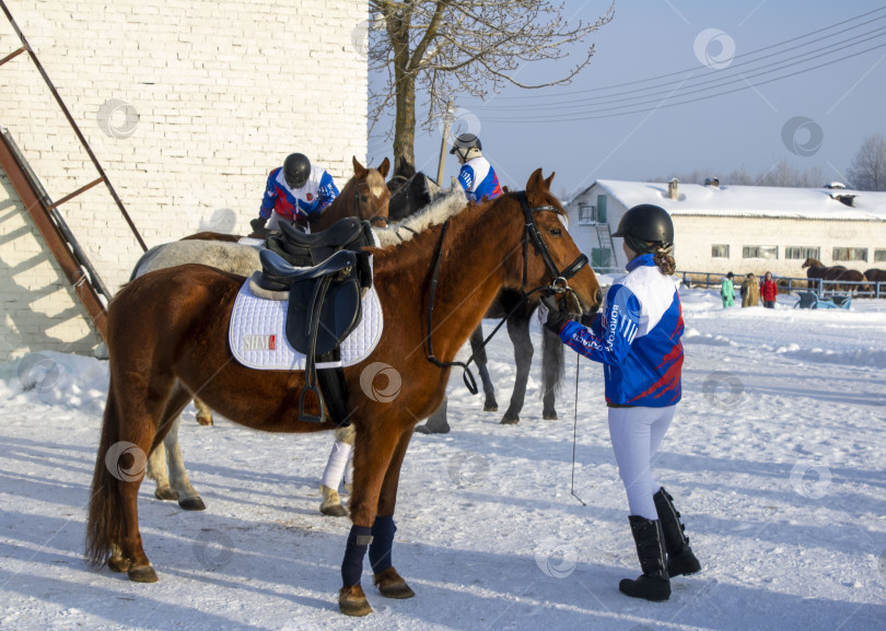 Скачать Жокеи у своих коней. фотосток Ozero