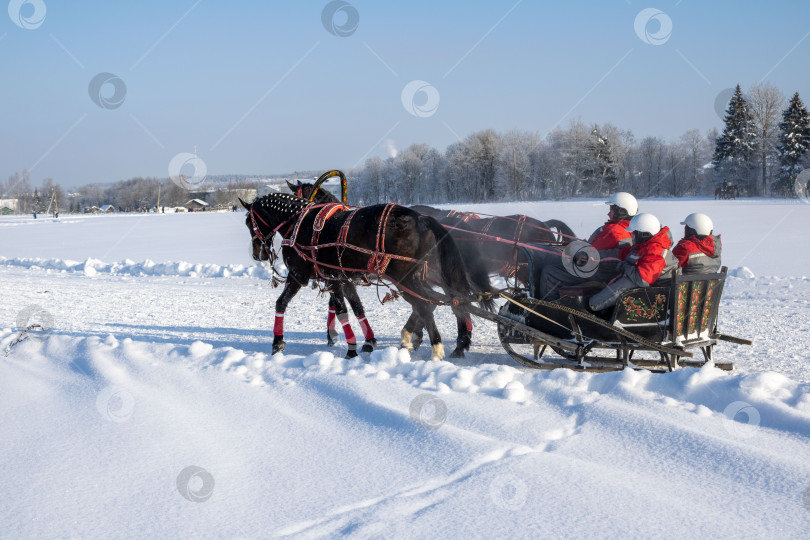 Скачать Люди в санях на лошадях зимой. Фестиваль "Русская Тройка" в Вологодской области. фотосток Ozero