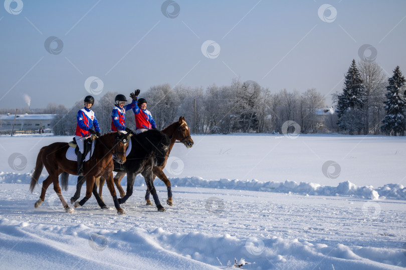 Скачать Жокеи на лошадях приветствуют народ. фотосток Ozero