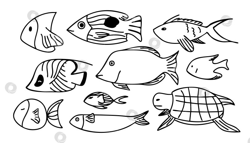 Скачать Набор для раскрашивания рыб и черепах Красного моря. В нем представлены морские обитатели. Раскраски с подводными животными фотосток Ozero