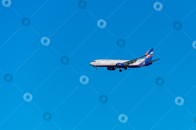 Скачать Boeing 737-8LJ(WL) садится на взлетно-посадочную полосу аэропорта Адлер на фоне голубого весеннего неба. Аэрофлот - Российские авиалинии. Шасси и закрылки самолета выпущены. фотосток Ozero