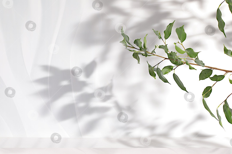 Скачать Абстрактный художественный минималистичный фон для презентации косметической продукции, премиальный пустой подиум с тенями на солнечном элегантном фоне, шаблон дизайна и баннер для экрана, подиум на пьедестале фотосток Ozero