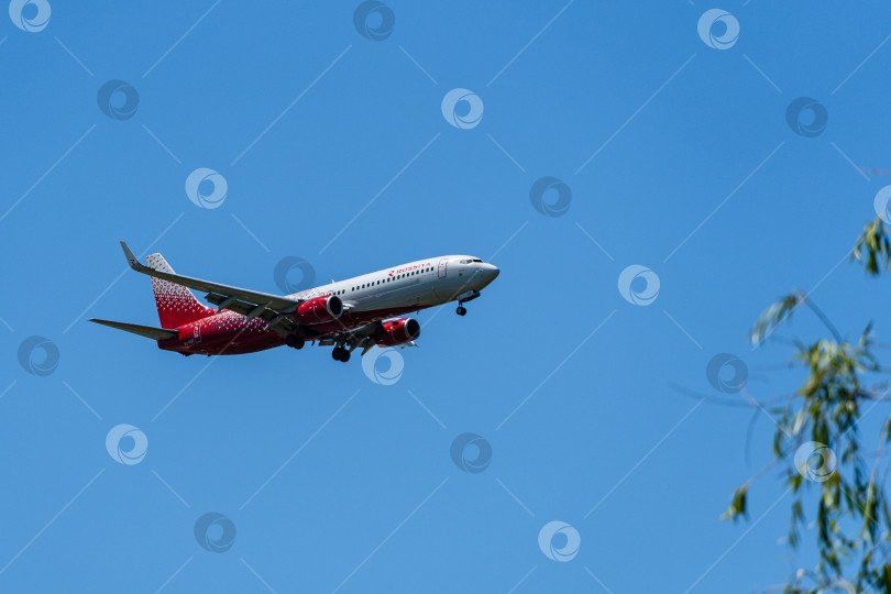 Скачать Boeing 737-800 летит на фоне голубого весеннего неба в аэропорт Адлера. Крупный план. РОССИЯ - РОССИЙСКИЕ АВИАЛИНИИ. Шасси и закрылки самолета выпущены. фотосток Ozero