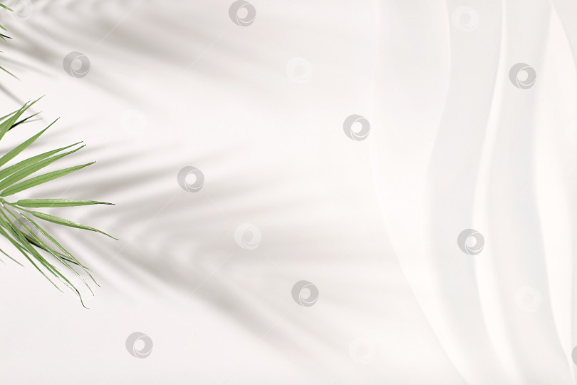 Скачать Пустой подиум премиум-класса с тенями тропических пальмовых листьев на солнечной стене, минимальный абстрактный фон для презентации косметической продукции, шаблон дизайна, подиум на пьедестале, селективный фокус. фотосток Ozero