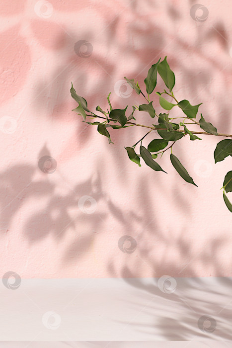 Скачать Пустой подиум премиум-класса с тенями тропических пальмовых листьев на солнечной стене, минимальный абстрактный фон для презентации косметической продукции, шаблон дизайна, подиум на пьедестале, селективный фокус. фотосток Ozero