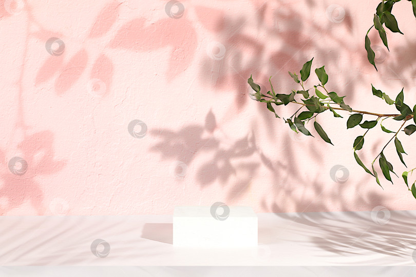 Скачать Пустой подиум премиум-класса с тенями тропических пальмовых листьев на солнечной стене, минимальный абстрактный фон для презентации косметической продукции, шаблон дизайна, подиум на пьедестале, селективный фокус. фотосток Ozero