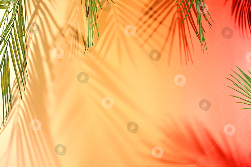 Скачать Абстрактный художественный минималистичный фон для презентации косметической продукции, премиальный пустой подиум с тенями на солнечном элегантном фоне, шаблон дизайна и баннер для экрана, подиум на пьедестале фотосток Ozero