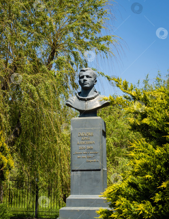 Скачать Бюст космонавта Юрия Гагарина в Архипо-Осиповке. Вокруг памятника первому космонавту разбита аллея деревьев, посаженных космонавтами и летчиками-испытателями. 1 фотосток Ozero