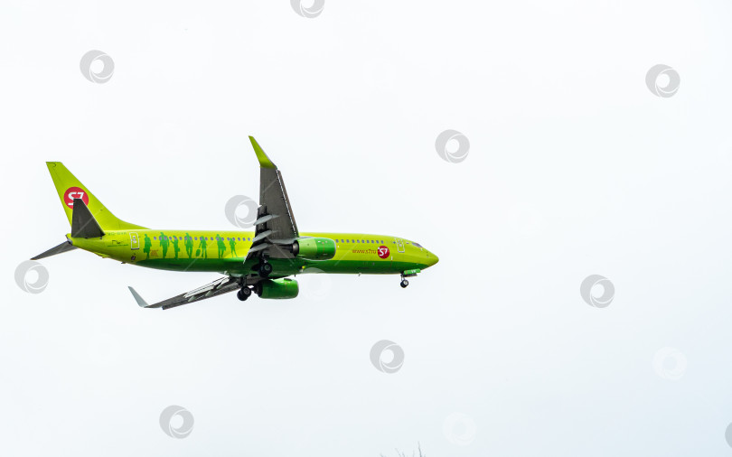Скачать Boeing 737-800 снижается к взлетно-посадочной полосе на фоне облачного неба. Авиакомпания S7 Airlines. Крупный план. Шасси и закрылки самолета выпущены. фотосток Ozero