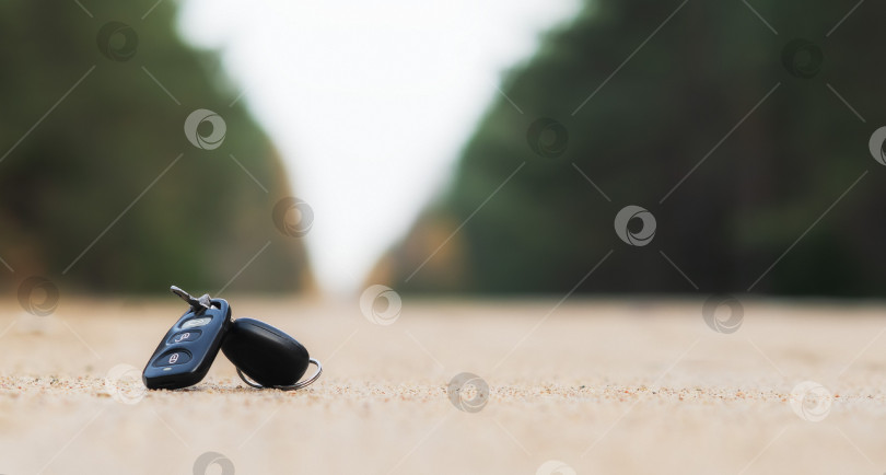 Скачать Я потерял ключи от машины в лесу. фотосток Ozero