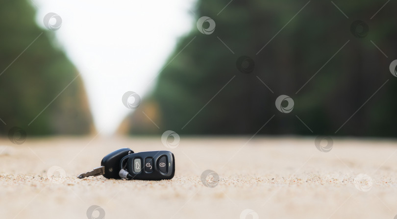 Скачать Я потерял ключи от машины в лесу. фотосток Ozero