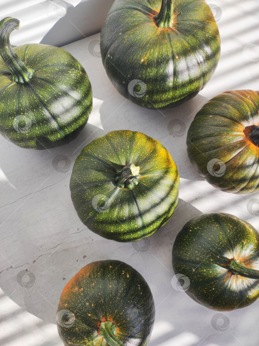 Скачать Композиция на столе из тыкв. Вид сверху на тыквы с тенью от окна. фотосток Ozero