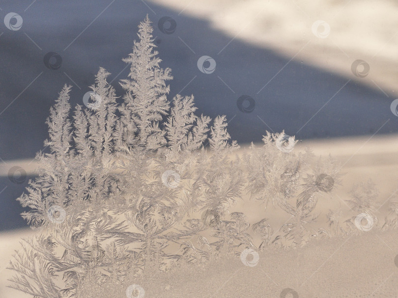 Скачать Морозный узор на окне в зимнем городе. Зимний морозный рисунок на окне. фотосток Ozero