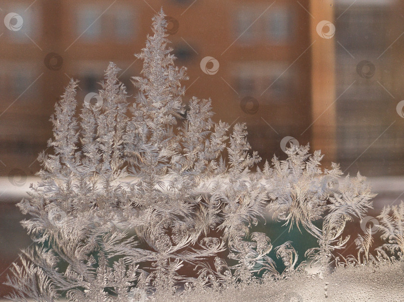 Скачать Морозный узор на окне в зимнем городе. Зимний морозный рисунок на окне. фотосток Ozero