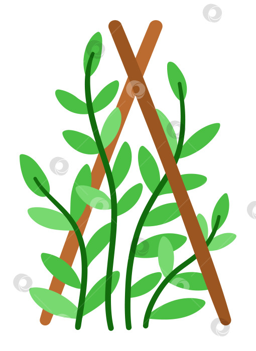 Скачать Векторное садовое растение на сваях. Молодая зелень с листьями и веточками, выделенными на белом фоне. Плоская весенняя иллюстрация. Значок садоводства фотосток Ozero