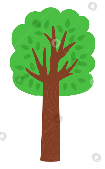 Скачать Векторный значок зеленого дерева, выделенный на белом фоне. Садовое или лесное растение с листьями. Иллюстрация весенней равнины, пасхальной деревни или фермы. Изображение естественной зелени фотосток Ozero