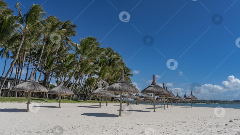 Скачать Ряды соломенных зонтиков на песчаном пляже безлюдном. фотосток Ozero