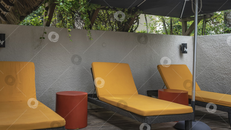 Скачать В спа-центре в ряд стоят шезлонги с ярко-желтыми матрасами. фотосток Ozero