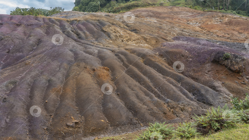 Скачать Красочный песчаный холм. Волнистая поверхность склона изрезана потоками дождевой воды. фотосток Ozero