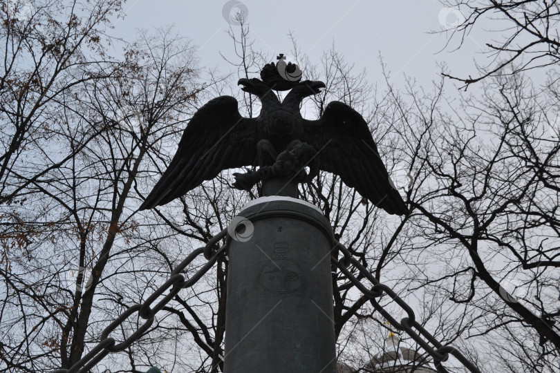 Скачать Двуглавый орел в бронзе фотосток Ozero