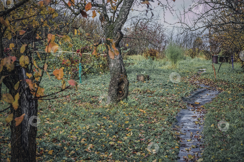 Скачать Старый сад в деревне поздней осенью фотосток Ozero