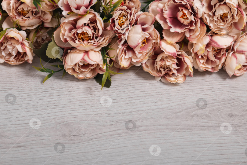 Скачать Розовые пионы цвета пудры на светлом деревянном фоне с возможностью копирования в качестве поздравительной открытки фотосток Ozero