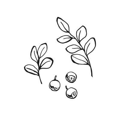 [object Object] undefined