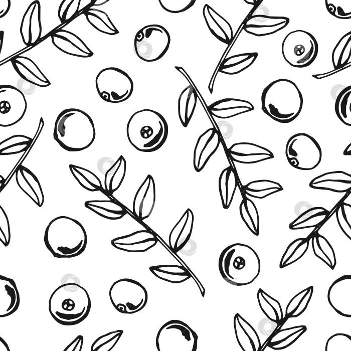 Скачать Бесшовный узор с клюквой. Рисованная иллюстрация, преобразованная в векторную форму. фотосток Ozero