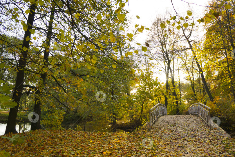 Скачать Небольшой пешеходный мост в осеннем парке, усыпанный листьями фотосток Ozero