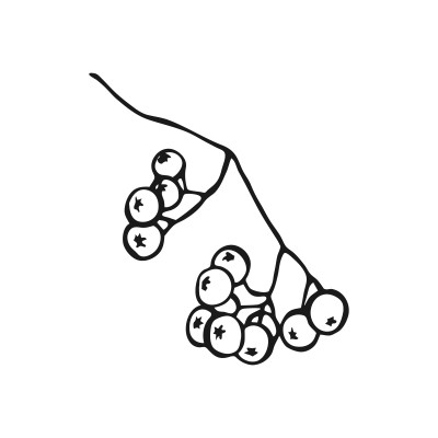 [object Object] undefined