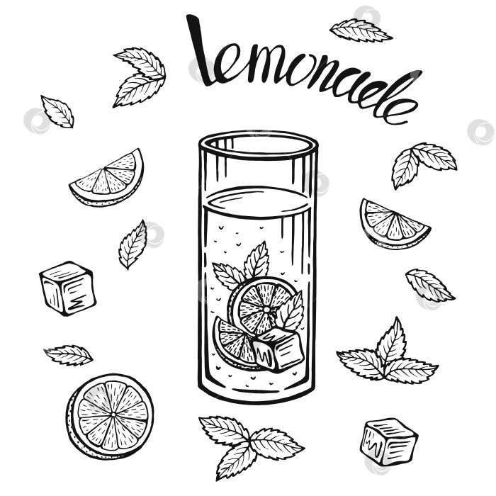 Скачать Кувшин для лимонада со льдом, ломтиком лимона, соломинкой и листьями мяты, эскиз лимонада в стакане, ручная прорисовка стакана для лимонада, надпись "домашний лимонад", отдельные векторные иллюстрации. фотосток Ozero