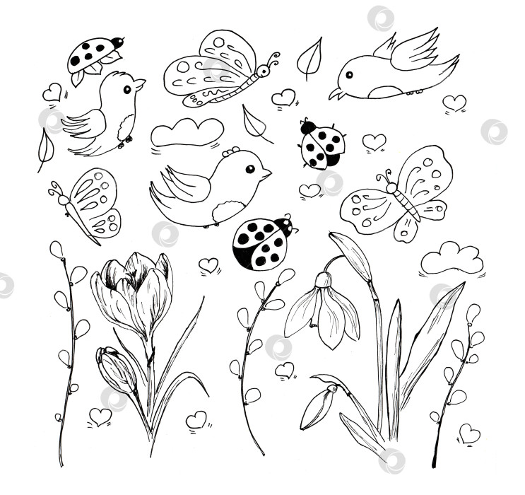 Скачать Набор простых детских рисунков с весенним рисунком. Милая мультяшная иллюстрация с рисованными каракулями. фотосток Ozero