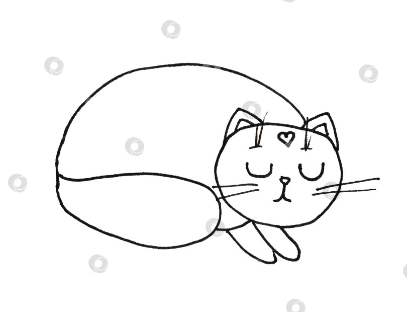 Скачать Черно-белые бесшовные фоновые обои для карантина спящей кошки фотосток Ozero