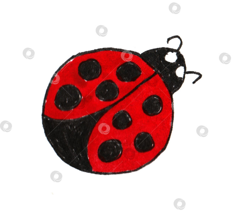 Скачать Весенние наброски, нарисованные от руки простыми детскими каракулями красной божьей коровки акварелью. фотосток Ozero