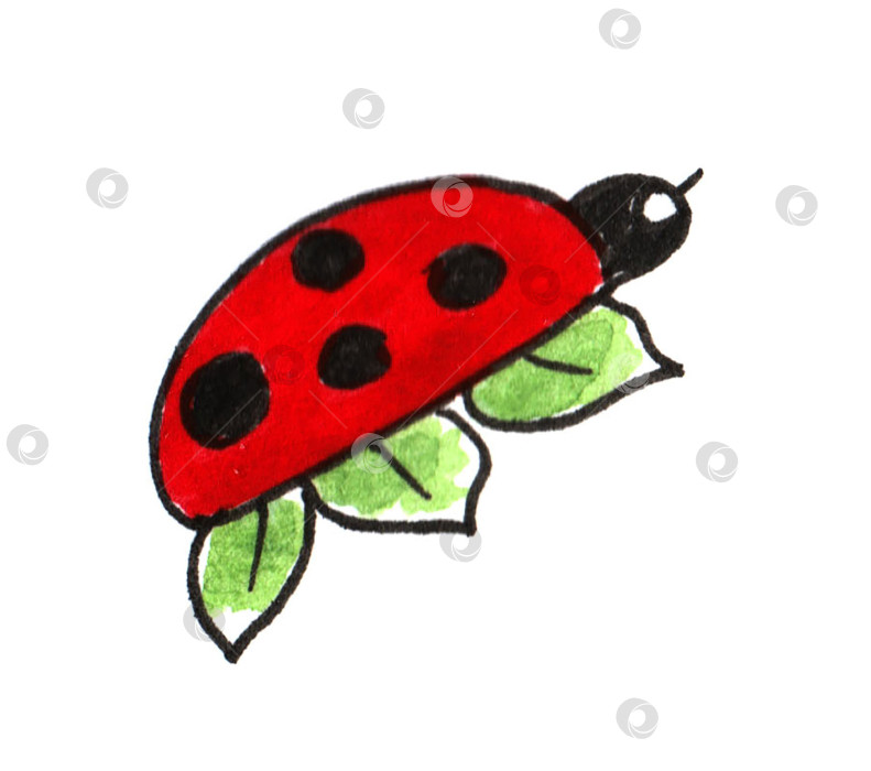 Скачать Весенние наброски, нарисованные от руки простыми детскими каракулями красной божьей коровки акварелью. фотосток Ozero