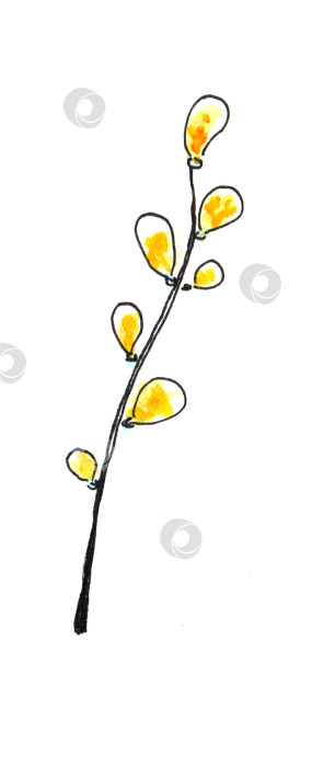 Скачать Весенние очертания нарисованной от руки простыми детскими каракулями ветки ивы. фотосток Ozero