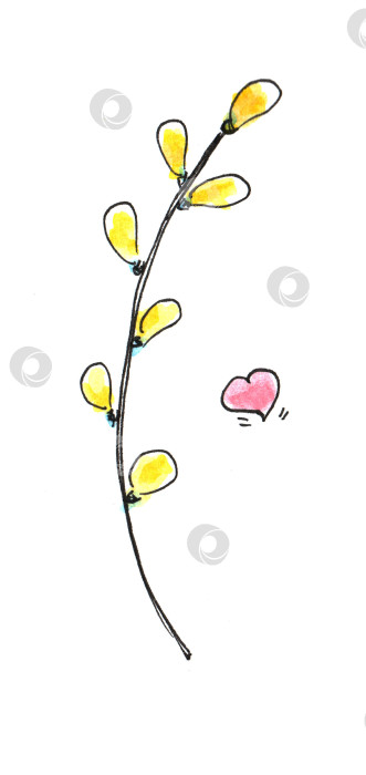 Скачать Весенние наброски, сделанные от руки простыми детскими каракулями, акварелью "ветка ивы" и "сердце". фотосток Ozero