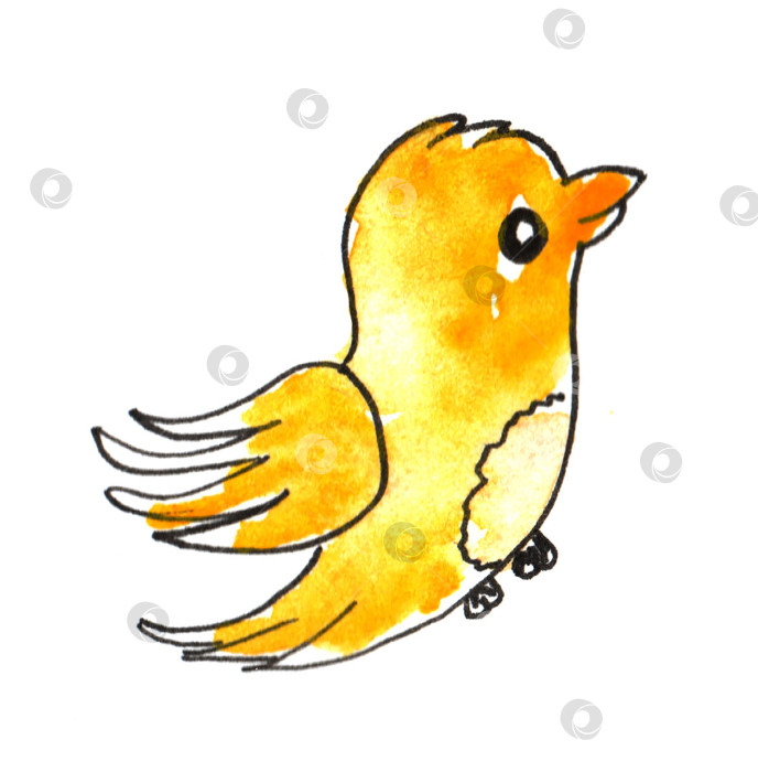 Скачать Весенние наброски, нарисованные от руки простыми детскими каракулями акварелью "желтая птица". фотосток Ozero