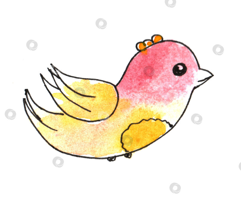Скачать Весенние наброски, нарисованные от руки простыми детскими каракулями розовой птичкой акварелью. фотосток Ozero