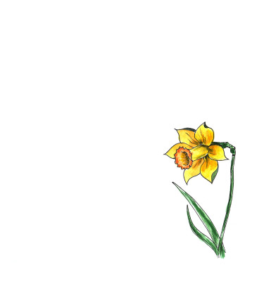 [object Object] undefined