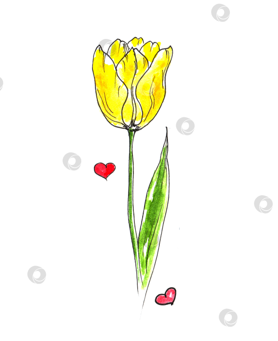 Скачать Набор акварельных пасхальных рисунков. Набор пасхальных рисунков, нарисованных от руки, на белом фоне фотосток Ozero